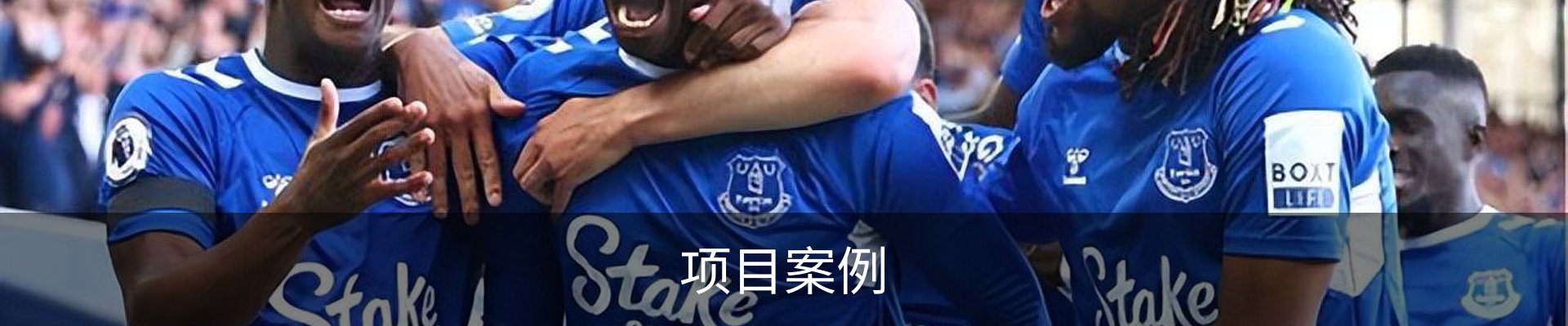 项目案例